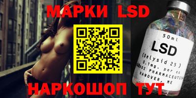 прущие грибы Будённовск