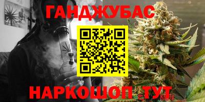 прущие грибы Будённовск