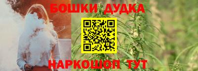 прущие грибы Будённовск