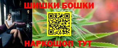 прущие грибы Будённовск