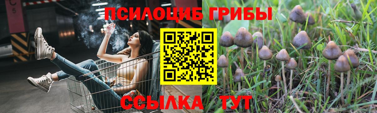 Псилоцибиновые грибы MAGIC MUSHROOMS Лабинск
